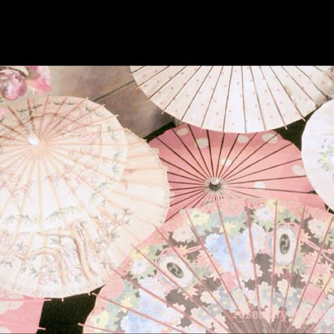 Parasols Futaba Y Kou, Alluka Zoldyck, Shoujo Girl, Catty Noir, Yae Miko, Japan Aesthetic, Spotify Covers, Japanese Aesthetic, Garden Roses