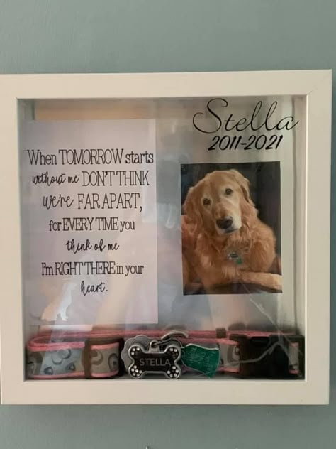 Memory Shadow Box For Dog, Diy Memorial For Dogs, Diy Dog Momentos, Dog Memorial Collar Ideas, Ideas To Remember Your Dog, In Memory Dog Ideas, Memory Box For Dog, Pet Remembrance Shadow Box Dog Memorial, Pet Memory Box Ideas