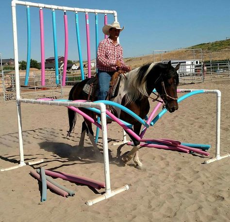 Horse Training Obstacles, Diy Horse Obstacles Ideas, Horse Desensitizing, Obstacles For Horses, Horse Obstacle Course Ideas, Horse Enrichment, Horse Training Ground Work, Horse Obstacle Course, Obstacle Course Ideas