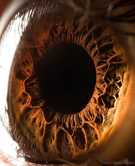 These are totally insane. Amazingly Revealing Macro Photos of the Human Eye Macro Fotografia, Foto Macro, Realistic Eye Drawing, Photo Macro, Eye Close Up, Window To The Soul, Photos Of Eyes, Extreme Close Up, Windows To The Soul