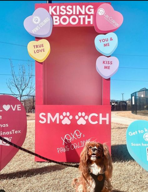 Dog Backdrop Ideas, Pet Photo Booth Ideas, Dog Photobooth Ideas, Pet Booth Design, Dog Photo Booth Ideas, Pet Event Ideas, Dog Event Ideas, Dog Photobooth, Dog Kissing Booth