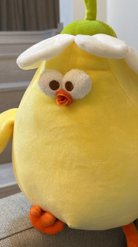 Dundun Chicken, Duck Plushie, Gudetama Plush Aesthetic, Duck Stuffed Animal Aesthetic, Korean Duck Plushie, Huge Duck Plush, Chicken Wallpaper, Giant Stuffed Animals, Simplistic Wallpaper