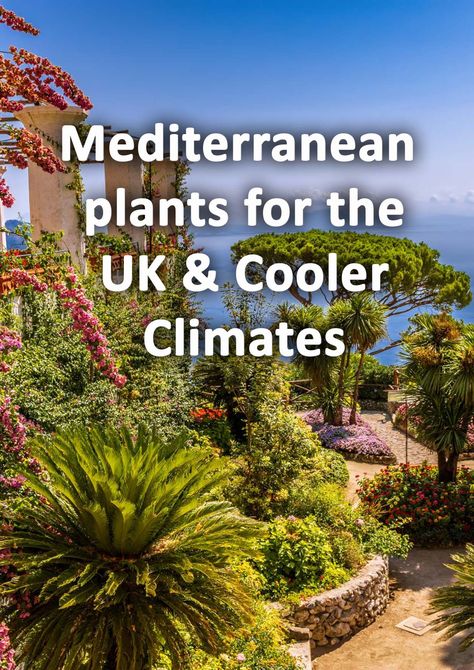 Garden Ideas Mediterranean, Mediterranean Garden Uk Style, Mediterranean Style Garden Ideas, Mediterranean Coastal Garden, Uk Mediterranean Garden, Mediteranian Garden Design, Low Maintenance Mediterranean Garden, Garden Flower Bed Ideas Uk, Uk Garden Plants