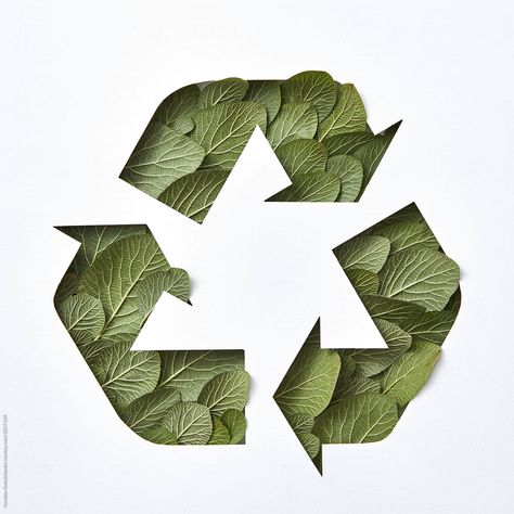 Recycle Sign, Garbage Recycling, Sustainability Projects, 동화 삽화, Green Environment, Sustainable Art, Fishing Nets, Concept Board, Eco Design