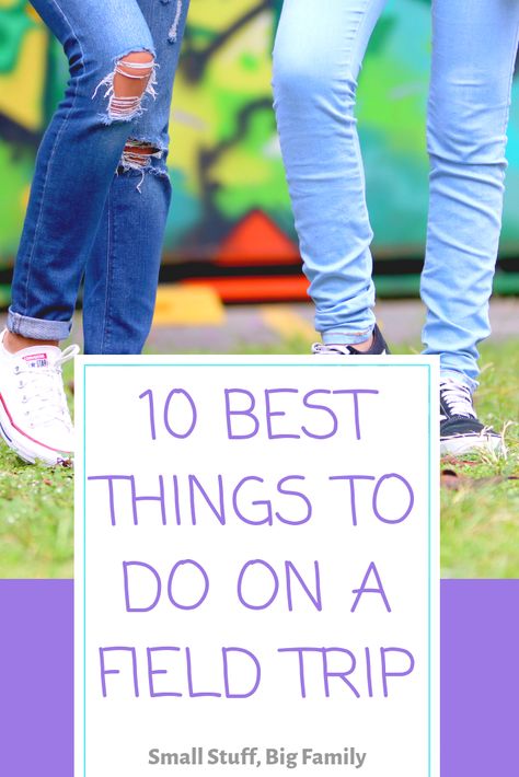 When you volunteer for a field trip, it can get crazy! Use these 10 best tips to ensure your child’s field trip is fun and successful! Field Trip Outfits For Mom, Farm Field Trip Outfit, Chaperone Field Trip Mom, Field Trip Mom Outfit, Chaperone Field Trip Mom Outfit, Field Trip Chaperone Outfit, Field Trip Outfit Ideas, Field Trip Outfit, Homeschool Field Trips