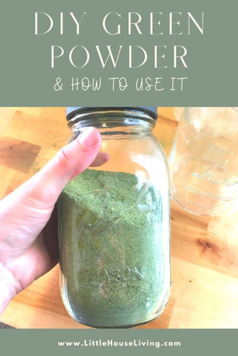 Want to add a boost of nutrition into your foods all year round? Try making your own Green Powder Blend! It's easy to make and store. Green Powder Drink, Broccoli Leaves, Dehydrating Food Storage, Preserving Vegetables, Super Greens Powder, Greens Powder, Freeze Dryer, Dehydrated Vegetables, Dehydrating Food