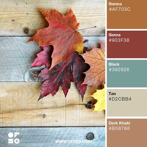 20 Nature Inspired Rustic Color Palettes | Rustic Color Schemes | OFFEO Rustic Color Theme, Maple Color Palette, Rustic Modern Color Palette, Vintage Farmhouse Color Palette, Rustic Color Pallete, Rustic Vintage Color Palette, Camping Color Palette, Rustic Color Palette For Home, Modern Rustic Color Palette