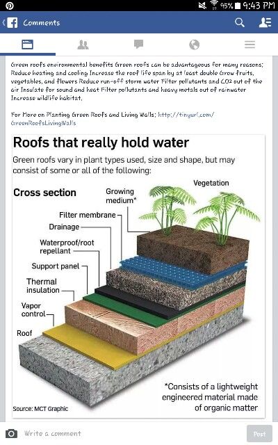 Roofs that hold water: reduce heating and cooling costs, increase life of roof, and create a rooftop garden! Would be great on a shipping container home, as there might be a risk of collapsed roof otherwise if drainage isn't sufficient. Rooftop Gardens, Roof Gardens, Living Roofs, Green Roofs, Roof Architecture, Green Architecture, Earthship, Rooftop Garden, House Roof