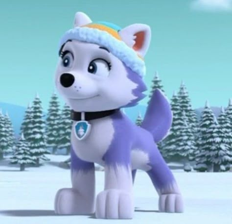 Paw Patrol All Pups, Paw Patrol Aesthetic, Skye X Everest, Cauliflower Gravy, Chase X Skye, Paw Patrol Costume, Pp Random, Paw Patrol 3, Paw Patrol Everest