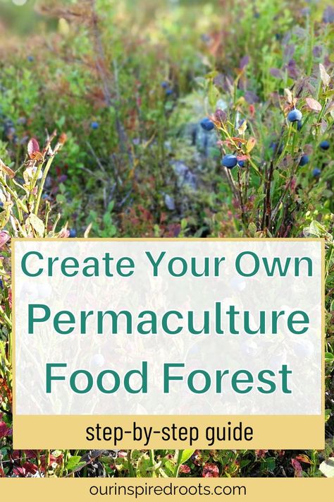 on image text - create your own permaculture food forest - step by step guide Zone 7 Food Forest, How To Build A Food Forest, Permaculture Food Forest Design, Permaculture Garden Design Layout, Forest Garden Backyards, Permaculture Layout, Forest Garden Ideas, Permaculture Garden Design, Backyard Food Forest