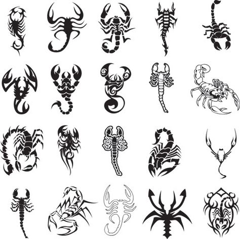 Different scorpion tattoo ideas Scorpio Tattoos, Scorpion Tattoos, Scorpio Zodiac Tattoos, Infected Tattoo, Leo Constellation Tattoo, Virgo Constellation Tattoo, Tier Tattoo, Scorpio Tattoo, Scorpion Tattoo