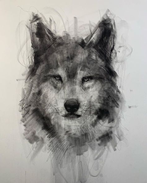 Charcoal Portrait Drawing Drawings Charcoal Ideas, Wolf Charcoal Drawing, Charcoal Tutorial Step By Step, Charcoal Art Ideas Easy, Coal Drawing Easy, How To Draw With Charcoal, Charcole Sketch, Charcoal Animal Drawings, Charcoal Sketches Easy