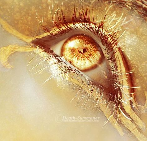 Eyes of Gold.: Soulmate Stories, Apollo Aesthetic, Golden Eyes, White Angel, Gold Aesthetic, Aesthetic Eyes, Gold Eyes, Yellow Aesthetic, 판타지 아트