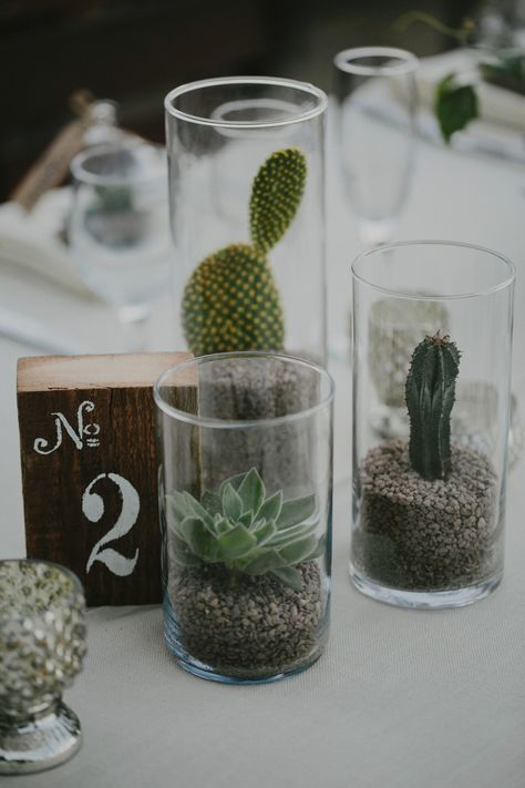 Succulent Decorations Wedding, Centerpieces Wedding Succulent, Flower And Succulent Centerpieces, Succulent Table Numbers, Small Cactus Centerpieces, Floating Succulent Centerpieces, Wedding Center Piece Succulents, Succulent Wedding Decorations Wedding Table Decor, Succulent Table Setting