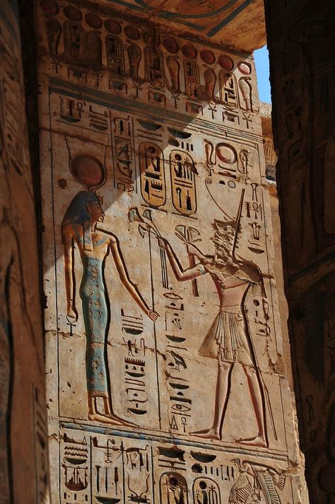 Bas Reliefs with color remaining Sand Dessert, Egyptian Aesthetic, Starověký Egypt, Egyptian Painting, Architecture Antique, Egypt Museum, Egypt Aesthetic, Egyptian Temple, Ancient Egypt History