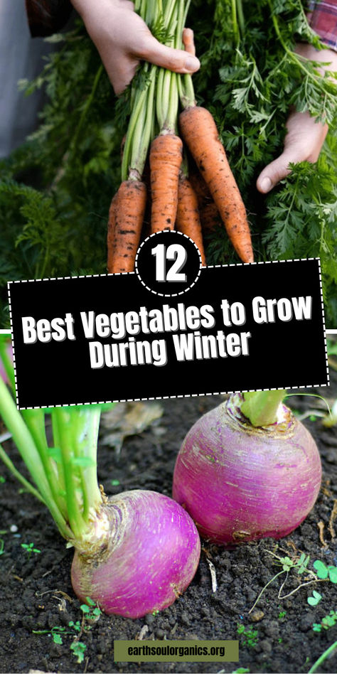 Discover the top vegetables to grow this winter and keep your garden thriving! From kale to carrots, learn how to plan your vegetable garden layout and make the most of cold-weather crops. Perfect for beginners and experienced gardeners looking to boost their organic vegetable garden during fall and winter. #GrowingWinterVegetables #VegetableGardenPlanner #WinterVegetables Winter Veggies To Grow, Winter Garden Ideas Design, Winter Garden Vegetables, Cold Weather Garden, Vegetable Garden Layout, Best Vegetables To Grow, Growing Winter Vegetables, Spring Vegetable Garden, Fast Growing Vegetables