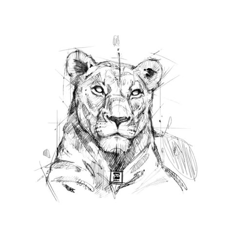 Leoa Animal Drawing Inspiration, Lion Sketch, Lion Drawing, Animal Drawings Sketches, Simple Drawings, Desenho Tattoo, Lion Art, Lion Tattoo, Animal Sketches