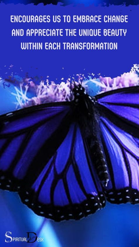 The black and blue butterfly spiritual meaning signifies the power of transformation. It encourages us to embrace change and appreciate the unique beauty within each transformation. #insectsofinstagram #appreciate #beautyblender #beautyjunkie #transformation #power #meaning #poweroftransformation #embracechange #change #butterfly Blue Butterfly Meaning, Butterfly Spiritual Meaning, Butterfly Spiritual, Angel Number Meanings, Embracing Change, Inner Guidance, Number Meanings, Spiritual Messages, Embrace Change