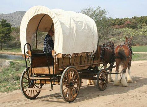 . Wagon Trails, Farm Wagons, Horse Wagon, Horse Drawn Wagon, Old Wagons, Wagon Wheels, Wooden Wagon, Wilde Westen, Chuck Wagon