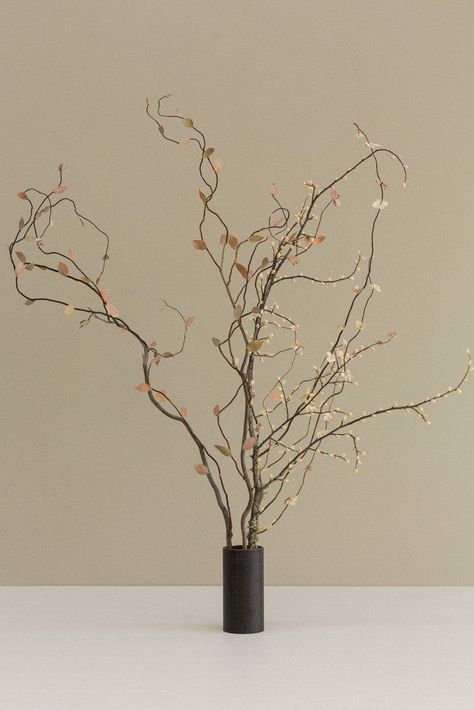 Why Dried Flowers Aren't Just For Grandma Japanese Flower Arrangement, Dry Branch, Ikebana Arrangements, Japanese Flower, Dry Plants, Branch Decor, Modern Dollhouse, Dry Flower, Japanese Flowers