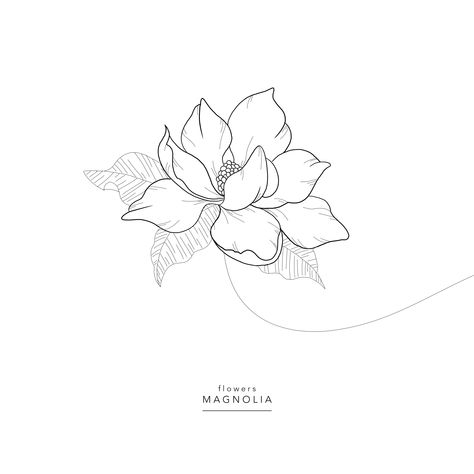 Flowers ⚘ Magnolia ⚘ Magnolia Magnolia Simple Tattoo, Magnolia Tattoo Design Drawing, Simple Magnolia Drawing, Southern Magnolia Tattoo, Magnolia Tattoo Simple, Magnolia Flower Drawing, Magnolia Drawing, Magnolia Tattoos, 00 Tattoo