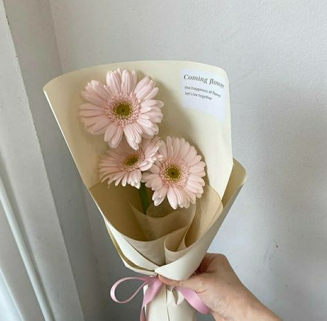 Small Bouquet Of Flowers Aesthetic, Mini Bucket Flowers, Medium Bouquet, Sunday Flowers, Gerbera Bouquet, Small Bouquet Of Flowers, Bucket Flower, Letters Flowers, Wrap Flowers