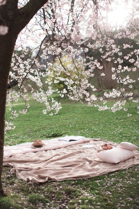 A Thousand Boy Kisses, Thousand Boy Kisses, Sakura Tree, Care For Others, Blossom Tree, Human Activity, Cherry Blossom Tree, Blossom Trees, Spring Vibes