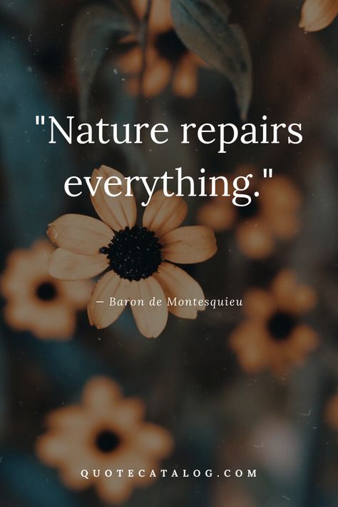 Nature Person Quotes, Quotes Related To Nature, Quotes About Nature Beauty, Nature With Quotes, Quote About Nature, Natural Healing Quotes, Short Nature Quotes, Nature Lover Quotes, Nature Quotes Beautiful