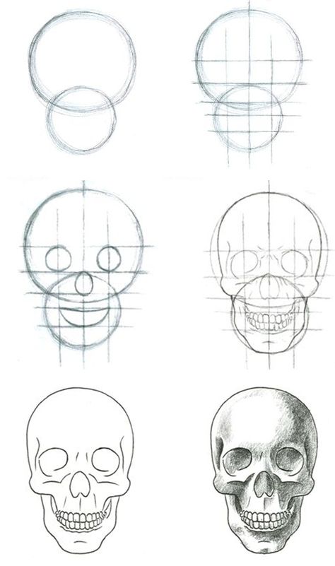 Skull Sketch, Skeleton Drawings, Skull Art Drawing, Drawing Lesson, Skulls Drawing, Skull Drawing, Easy Drawings Sketches, Art Drawings Sketches Creative, Pencil Art Drawings