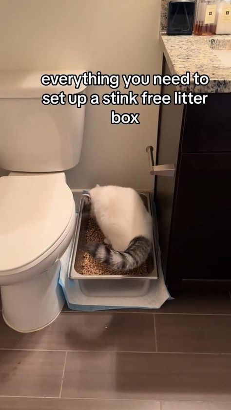 Litter Box Hacks, Funny Christmas Card Photo Ideas, Christmas Card Photo Ideas, Spoiled Cats, Box Hacks, Cat House Diy, Funny Christmas Card, Cat Hacks, Cat Enclosure