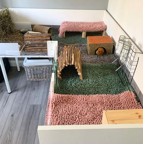 Guinea Pig Enclosure, Pig Enclosure, Indoor Guinea Pig Cage, Guinea Pig Run, Guine Pig, Guinea Pig Cage Ideas, Diy Guinea Pig Cage, Guinea Pig Ideas, Guinea Pig Diy