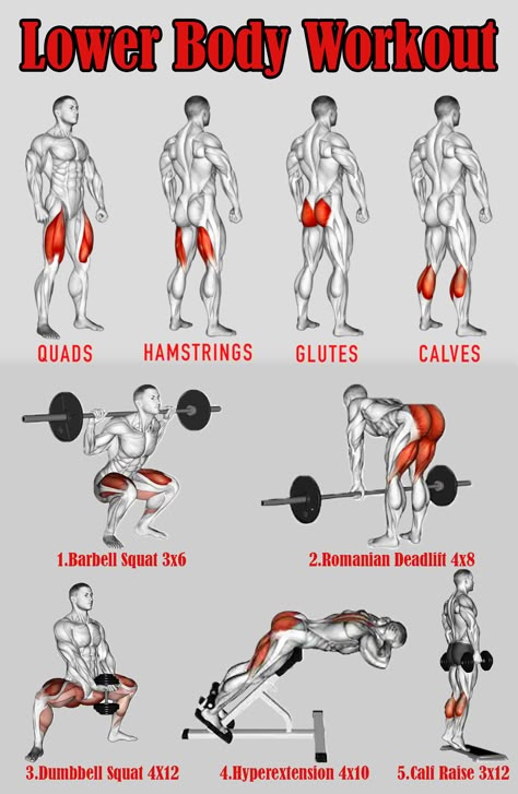 Lower Body Workout For Men, Lower Body Workout Gym, Lower Body Workout Routine, Leg Workouts For Men, Lower Workout, Leg Workouts Gym, Gym Workout Planner, Workouts For Men, Gym Workout Chart