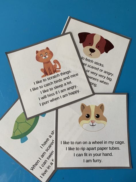 Preschool Pet Activities - No Time For Flash Cards Science Pets Preschool, Pre K Animal Art Projects, Preschool Activities Pets Theme, Animal Communication Activities, Dog Theme Preschool, Pet Art Activities For Preschool, Cat Craft Preschool, Pets Worksheets Preschool, Preschool Pet Week