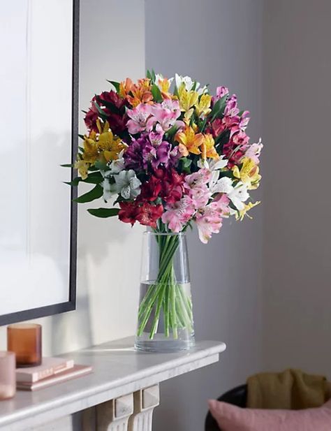 Save money on some of our favourite products, from seasonal bouquets and baskets to flowering planters and barrels. Check back each fortnight for something new and enjoy our free delivery! Rainbow Arrangement, Alstroemeria Bouquet, Friendship Flower, Friendship Flowers, Flower Boquet, Peruvian Lilies, Open Flower, Boquette Flowers, Flower Vase Arrangements