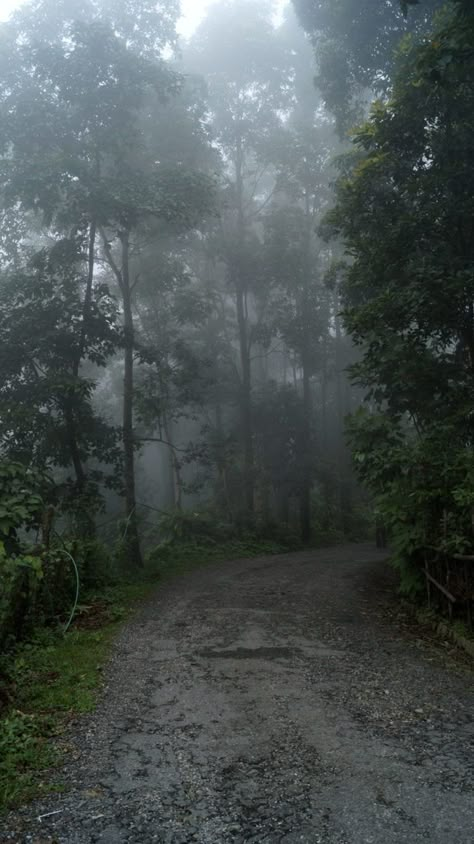 Darjeeling Seven Points - Seven Points is a wonderful hill station in Darjeeling. Explore the this photo gallery & know more about the heavenly place. #photography #darjeeling #naturephotography #landscapephotography Madikeri Coorg Photography, Rainy Landscape Photography, Darjiling Photography, Kalimpong Photography, Ooty Hill Station Aesthetic, Hill Station Aesthetic, Coorg Photography, Hill Station Photography Ideas, Hill Station Photography