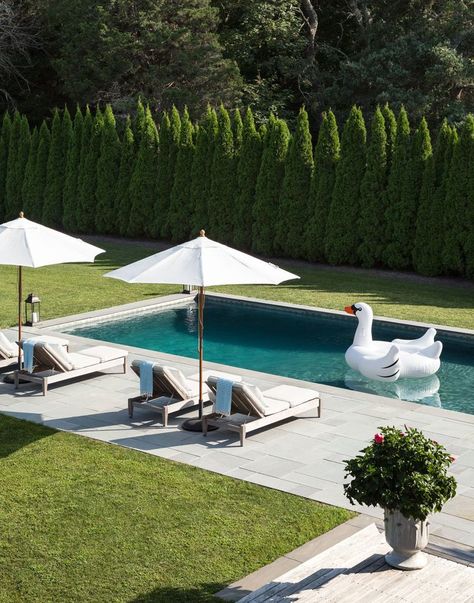 Bella Mancini Design Trees Behind Pool, Adding Hot Tub To Existing Pool, Rectangle Pool Landscaping Backyard, Landscape Ideas Around Pool, Modern Rectangle Pool, Landscape Entryway, Hamptons Landscaping, Dröm Hus Planer, Pool With Slide