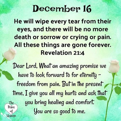 December 16 Quotes, Quotes December, December Scriptures, Psalms Quotes, Days Quotes, Daily Spiritual Quotes, December Quotes, True Vine, 16 December