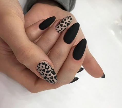 Short New Year’s Nails: Black 2024 Designs & Trendy 16 Ideas Leopard Nail Designs, Black Almond Nails, Unghie Sfumate, Leopard Print Nails, Leopard Nails, Almond Nails Designs, Colorful Nails, Print Nails, Nail Fashion