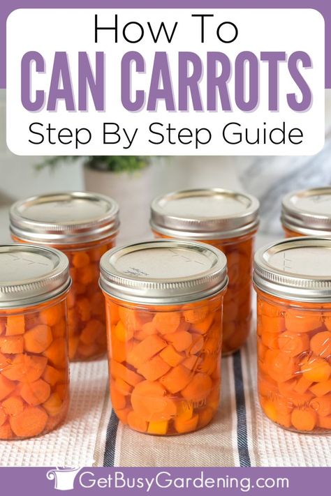 6 mason jars full of carrot coins and canning solutions Carrots Canning, Carrots With Brown Sugar, Can Carrots, Canning Carrots, Can Vegetables, Brown Sugar Carrots, Canned Carrots, Canning Salt, Canned Potatoes