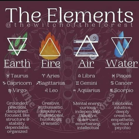 Leo And Aquarius, Aries And Libra, Elemental Magic, Witch Spirituality, Magic Spell Book, Element Symbols, The Wasp, Birth Chart Astrology, Wiccan Spell Book