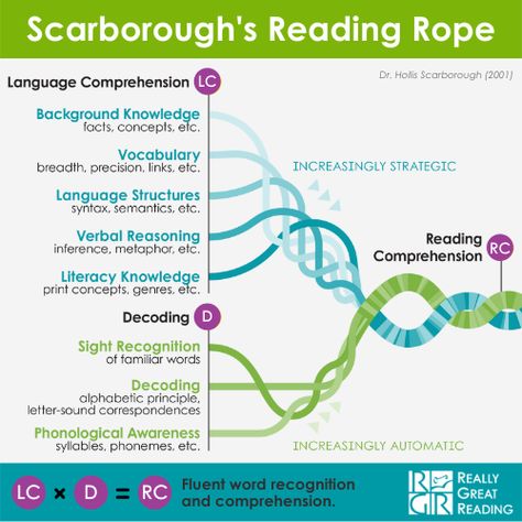 Scarborough's Reading Rope | Really Great Reading Read 180, Structured Literacy, Reading Assessment, Literacy Coaching, The Science Of Reading, Reading Specialist, Word Recognition, School Learning, Science Of Reading