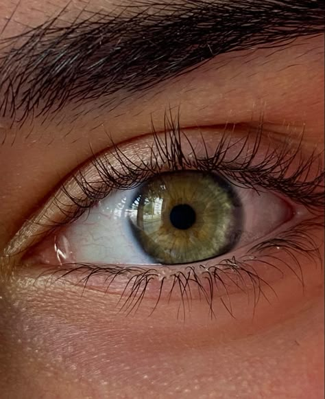 #eyes #aesthetic #green #greenenergy #greenaesthetics #photography #photooftheday #aesthetic Damon Eyes, Hephaestus Cabin, Unsent Messages, Olive Green Eyes, City Of Brass, Blue Eyes Aesthetic, Black Hair Green Eyes, The Eyes Chico, Hazel Green Eyes