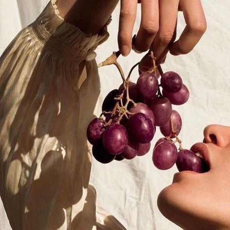 inspired by grape tones + ivory palettes ◯ Eating Grapes Aesthetic, Abundance Aesthetic Photography, Abundance Photography, Food Abundance, Grape Aesthetic, Goddess Food, Grapes Aesthetic, Abundance Aesthetic, Greek Vibes