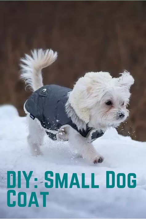 Dog Coat Patterns Free Sewing, Puppy Coat Pattern Free, Free Dog Coat Pattern, Diy Dog Coats Pattern Free Sewing, Dog Coats Patterns Free, Dog Sweater Sewing Pattern Free, Free Dog Jacket Pattern, Dog Clothes Sewing Patterns Free Printable, How To Make Small Dog Clothes