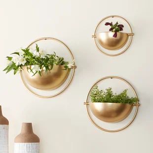 Wall Planters Indoor Living Rooms, Plants On Wall Indoor, Indoor Wall Planter Ideas, Wall Mounted Planters Indoor, Round Wall Planter, Houseplant Display, Wall Plants Indoor, Wall Planters Outdoor, Metal Wall Planters