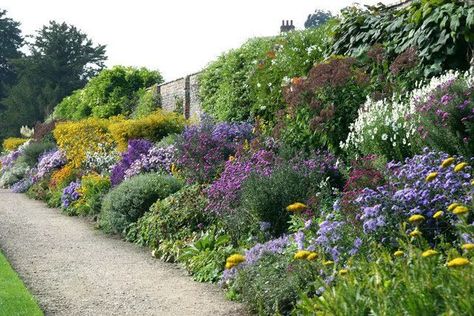 Small Garden Shrubs, Gertrude Jekyll, Perennial Flower, Vegetable Garden Planning, Herbaceous Border, Best Perennials, Perennial Border, Garden Border, Cottage Garden Design