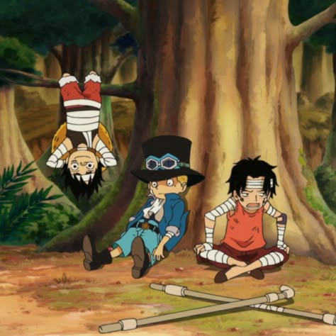 One Piece Sabo Ace Luffy, Richie Rich Comics, Asl One Piece, Asl Brothers, Luffy Ace, One Piece Asl, Ace Luffy, Meme Love, Ace Sabo Luffy