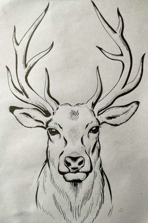 Wild Drawing Ideas, Animal Sketches Easy Simple, Pretty Animal Drawings, Deer Drawings Easy, Realistic Deer Drawing, Pencil Drawings Of Animals Easy, Hunting Drawings Easy, Easy Animal Drawings Sketches, Pencil Drawing Inspiration Easy