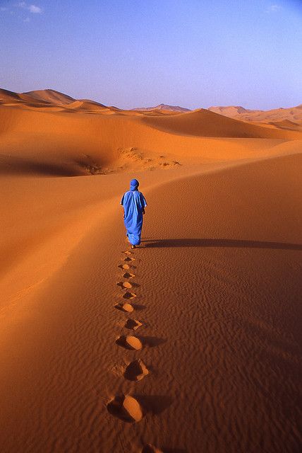 desert In The Desert, Nature Beautiful, The Sand, Beautiful Photography, The Desert, Beautiful World, In The Middle, Amazing Photography, Beautiful Photo