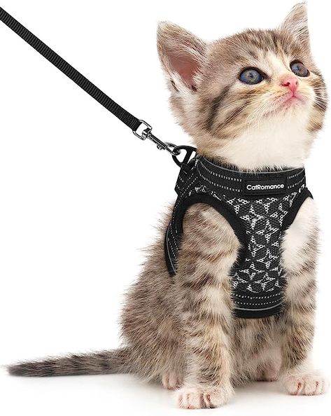 Pet Supplies : CatRomance Cat Harness and Leash, Escape Proof Kitten Harness and Leash Set for Walking, Adjustable Cat Vest Harness for Kitten, Breathable Kitty Harness ​with Reflective Strips and Easy Control : Amazon.com Royal Canin Cat Food, Best Cat Harness, Kitten Harness, Cat Harness And Leash, Small Kitten, Cozy Beds, Harness And Leash Set, Walking Harness, Small Dog Harness